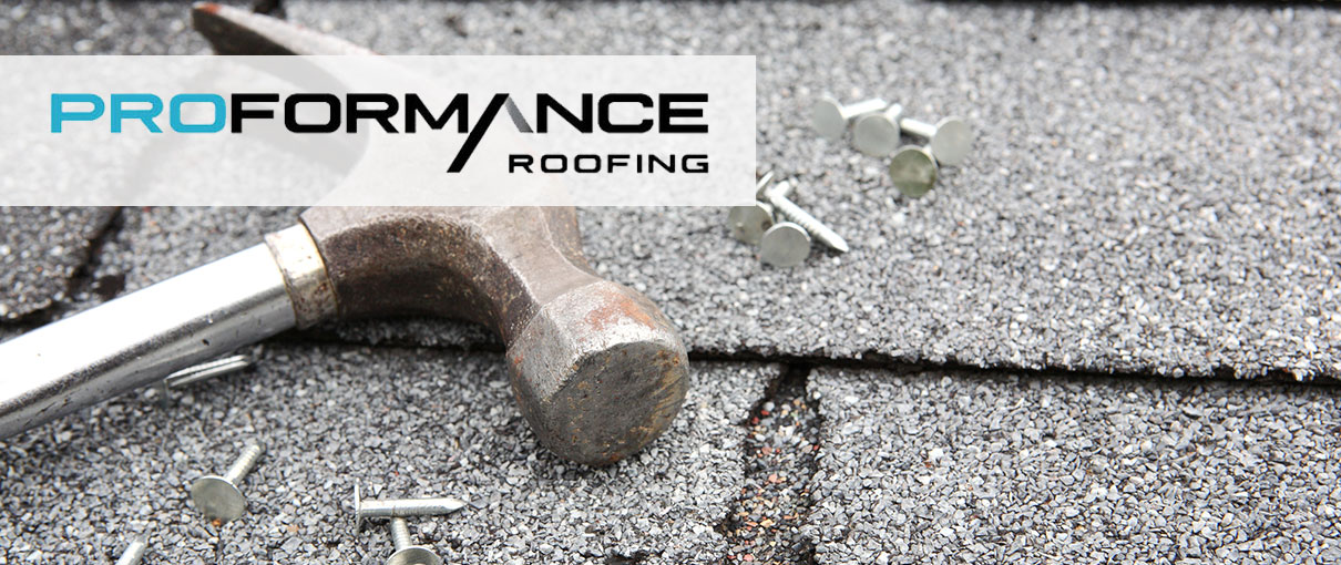 Proformance Roofing Panels at Tanmatthewblog Blog