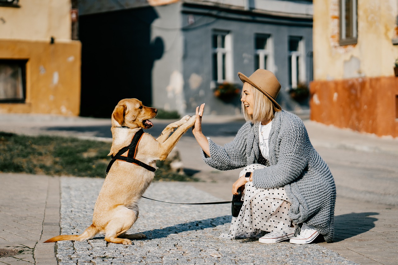 Happy and Healthy Pets: Connor Pet Health Shares The Key to a Fulfilled Life for Pet Parents’ Best Friends