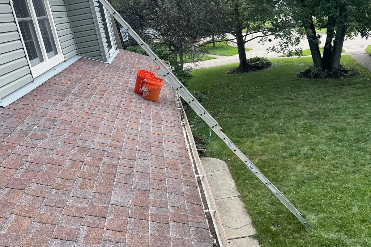 Gutter Cleaning Buffalo Grove: Window Washing Expert Sees Rising Fall Demand as Homeowners Prepare Properties for Winter