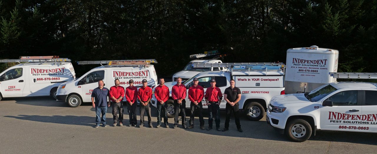 Independent Pest Solutions’ Top Pest Control Service Reaffirms Longstanding Service Commitment to Homeowners in Auburn
