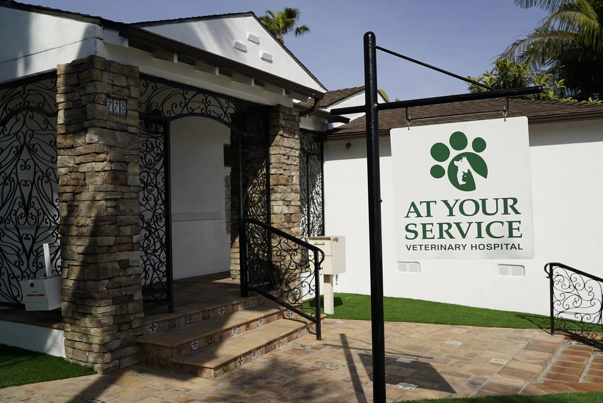 At Your Service Veterinary Hospital Launches Same-Day Appointment Promise for San Pedro Pet Families