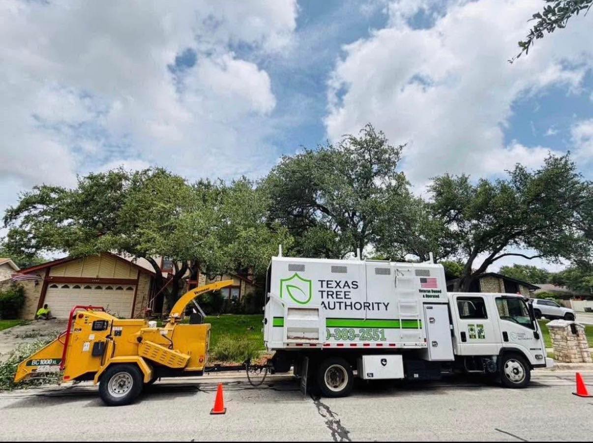 Texas Tree Authority Unveils Redesigned Website Showcasing Its San Antonio Tree Service Solutions