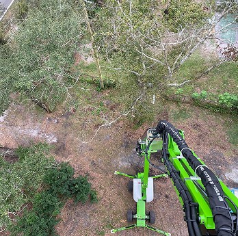 Canopy Crafters Launches New Website to Expand Access to Tree Care Services and Arborist Expertise in Lutz, FL