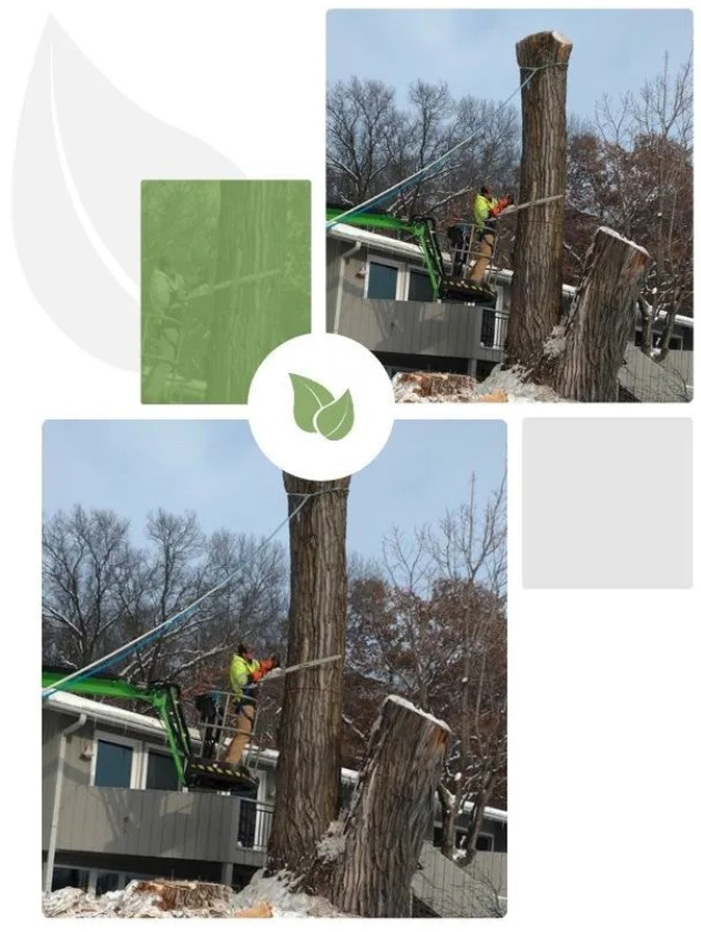 FinancialContent - NWI Tree Service Welcomes New Certified Arborist To ...