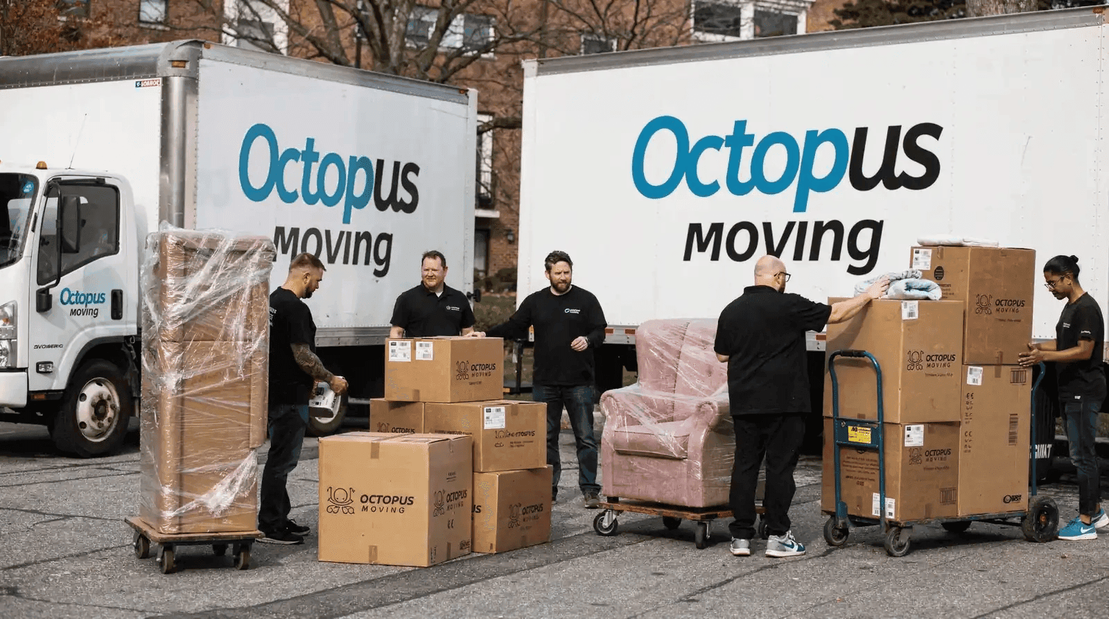 Raleigh, NC, Moving Company, Octopus Moving, Expands Residential and Commercial Moving Services